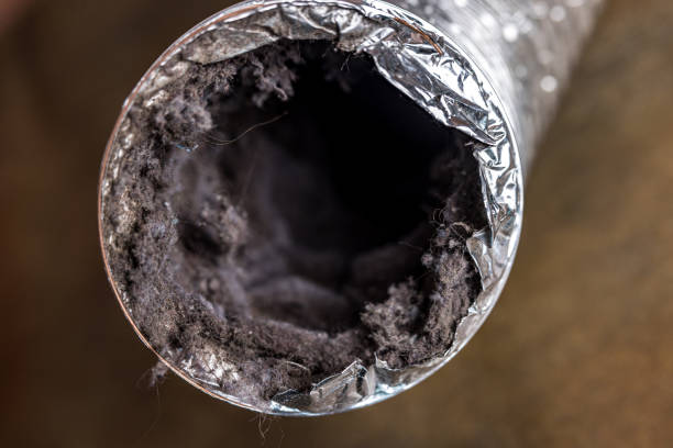 Best Best Air Duct Cleaning Near Me  in Nora Springs, IA