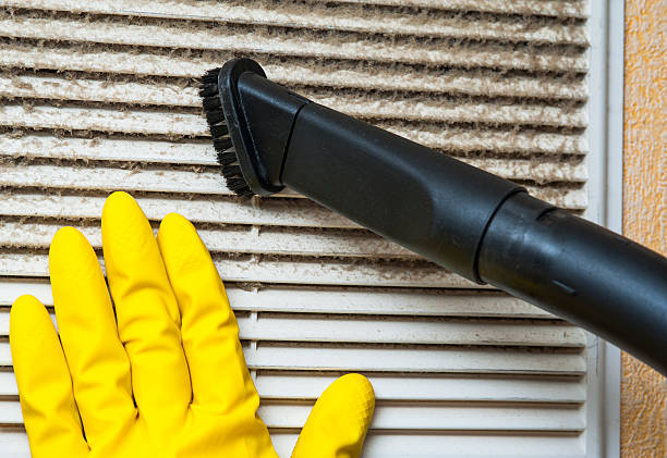 Best Professional Duct Cleaning Services  in Nora Springs, IA